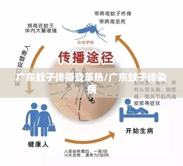 广东蚊子传播登革热/广东蚊子传染病