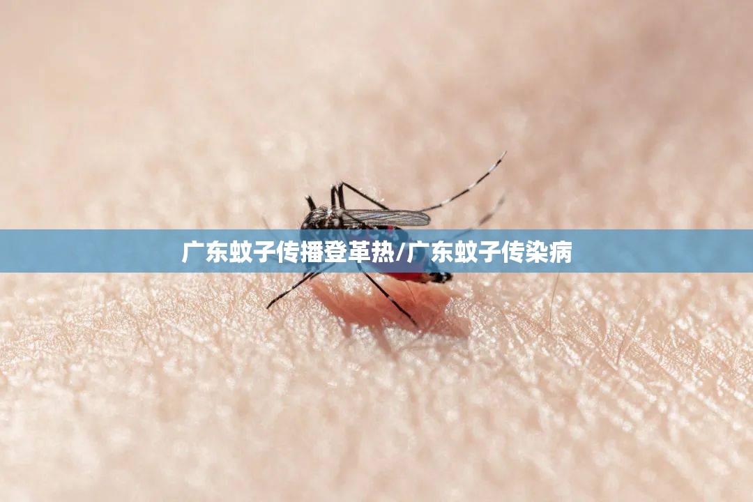 广东蚊子传播登革热/广东蚊子传染病