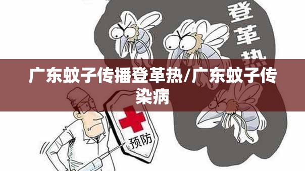 广东蚊子传播登革热/广东蚊子传染病