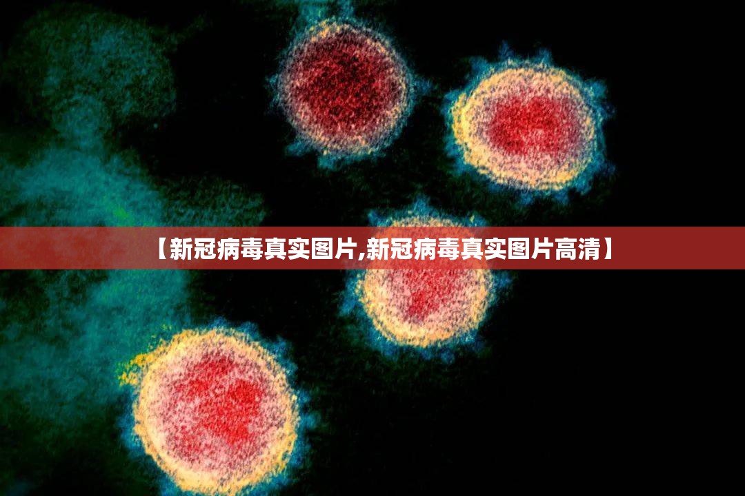 【新冠病毒真实图片,新冠病毒真实图片高清】