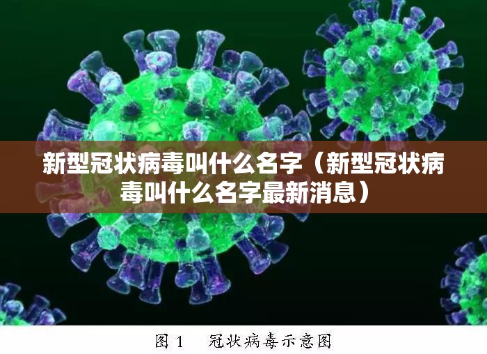 新型冠状病毒叫什么名字（新型冠状病毒叫什么名字最新消息）