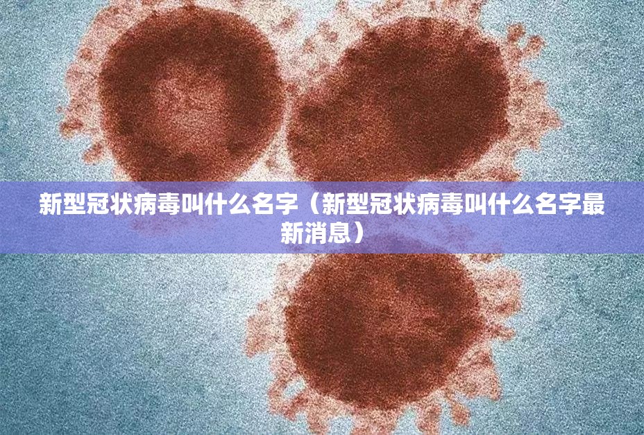 新型冠状病毒叫什么名字（新型冠状病毒叫什么名字最新消息）