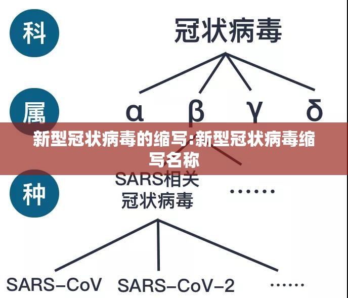 新型冠状病毒的缩写:新型冠状病毒缩写名称