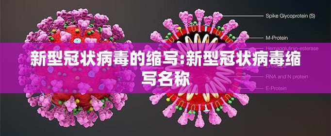 新型冠状病毒的缩写:新型冠状病毒缩写名称