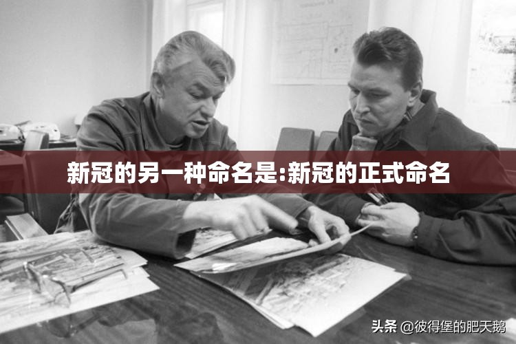新冠的另一种命名是:新冠的正式命名