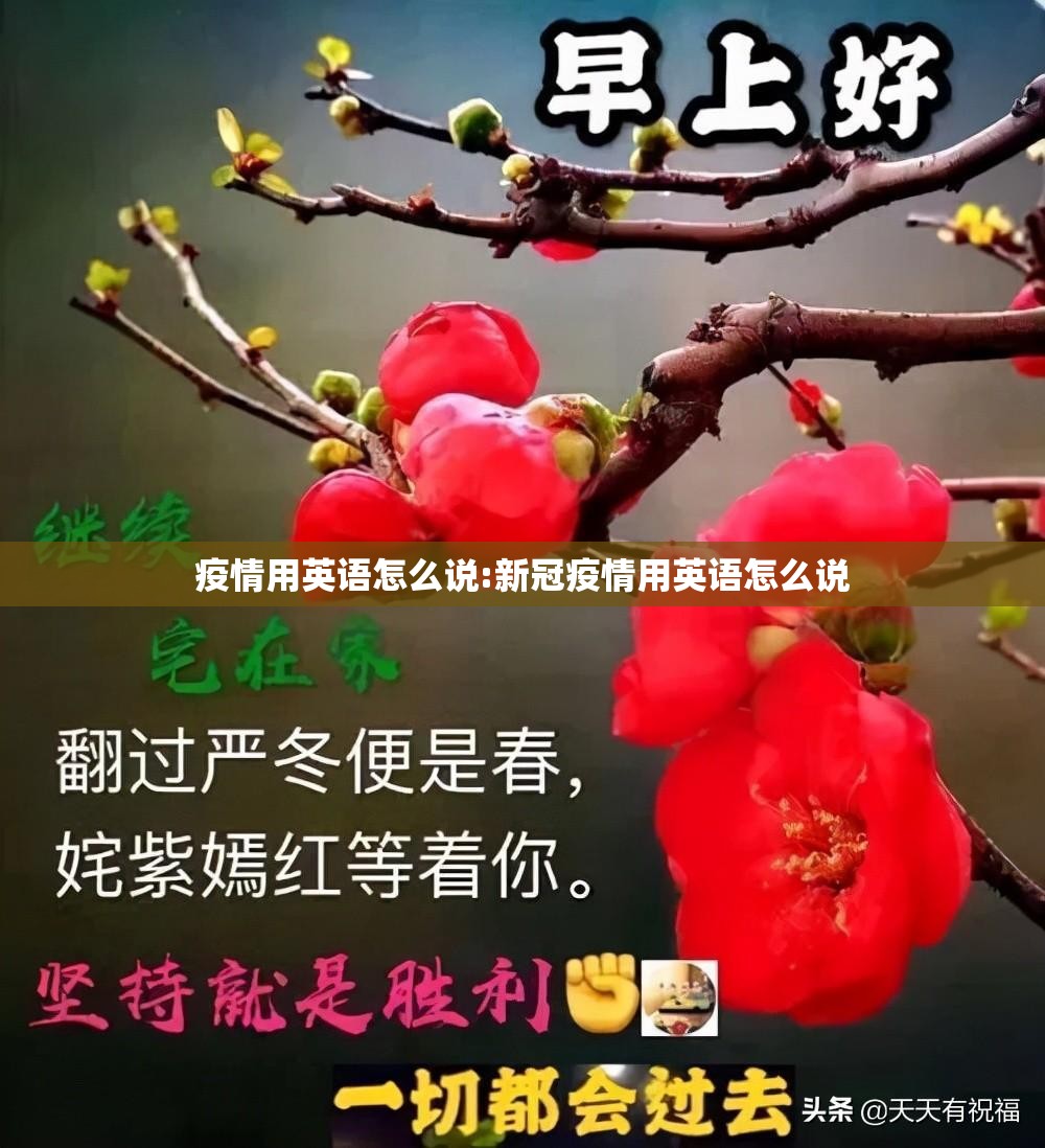 疫情用英语怎么说:新冠疫情用英语怎么说