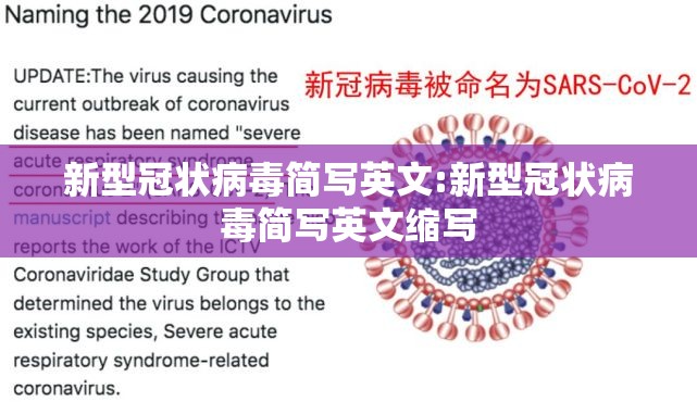 新型冠状病毒简写英文:新型冠状病毒简写英文缩写