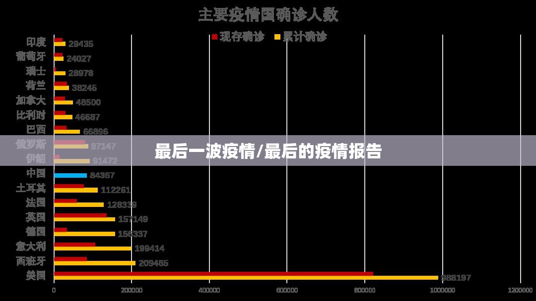 最后一波疫情/最后的疫情报告