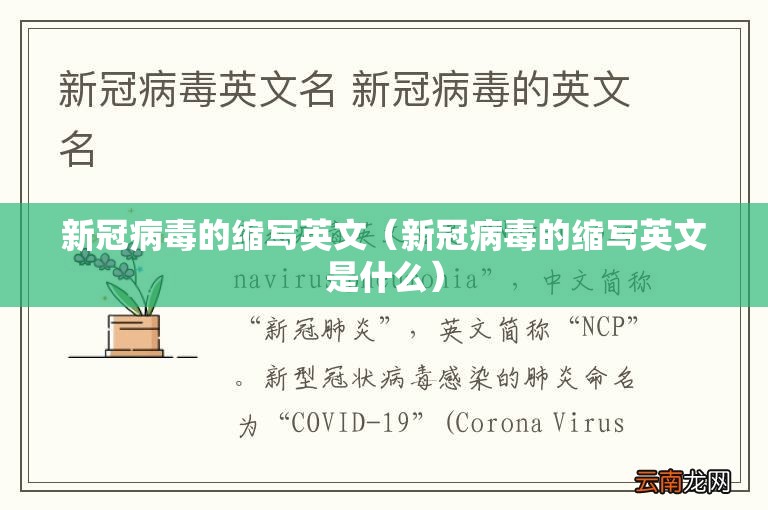 新冠病毒的缩写英文（新冠病毒的缩写英文是什么）