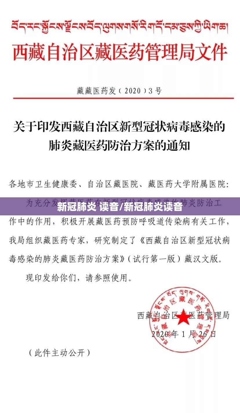 新冠肺炎 读音/新冠肺炎读音