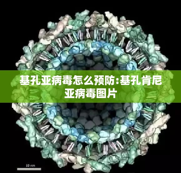 基孔亚病毒怎么预防:基孔肯尼亚病毒图片