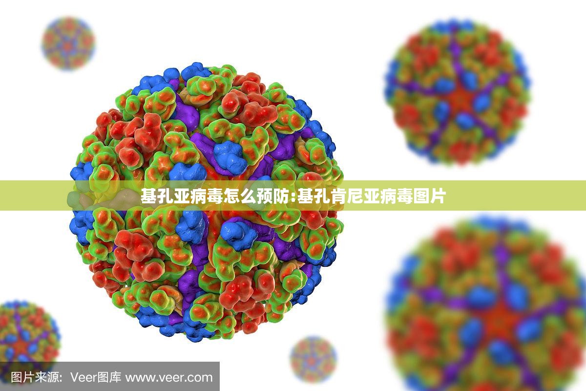 基孔亚病毒怎么预防:基孔肯尼亚病毒图片