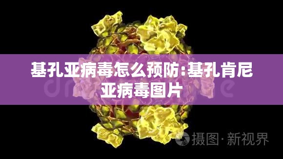 基孔亚病毒怎么预防:基孔肯尼亚病毒图片