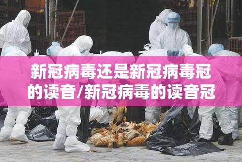 新冠病毒还是新冠病毒冠的读音/新冠病毒的读音冠还是冠