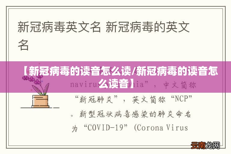 【新冠病毒的读音怎么读/新冠病毒的读音怎么读音】