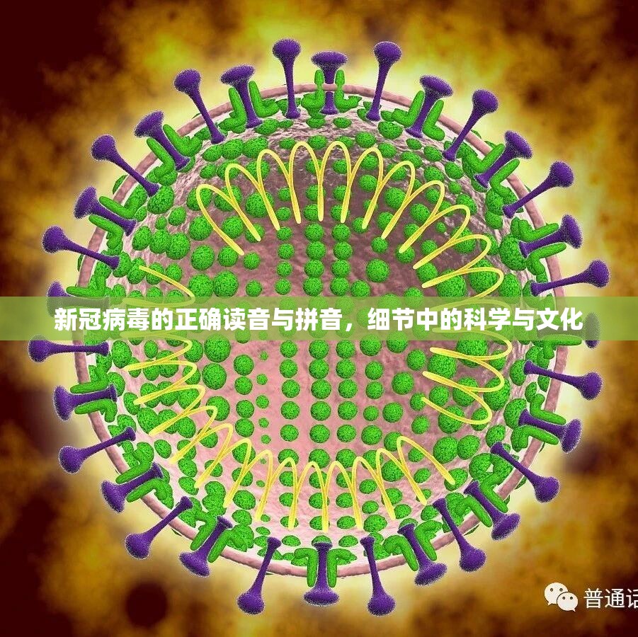 新冠病毒的正确读音与拼音，细节中的科学与文化
