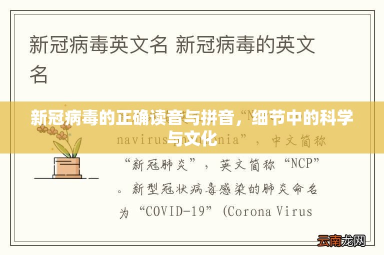 新冠病毒的正确读音与拼音，细节中的科学与文化