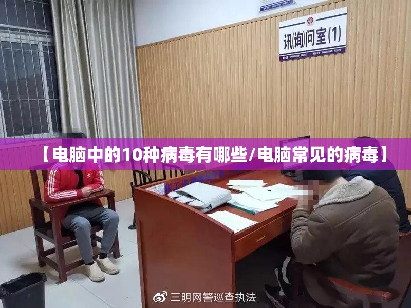 【电脑中的10种病毒有哪些/电脑常见的病毒】