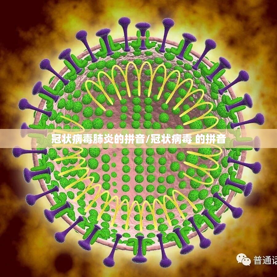冠状病毒肺炎的拼音/冠状病毒 的拼音