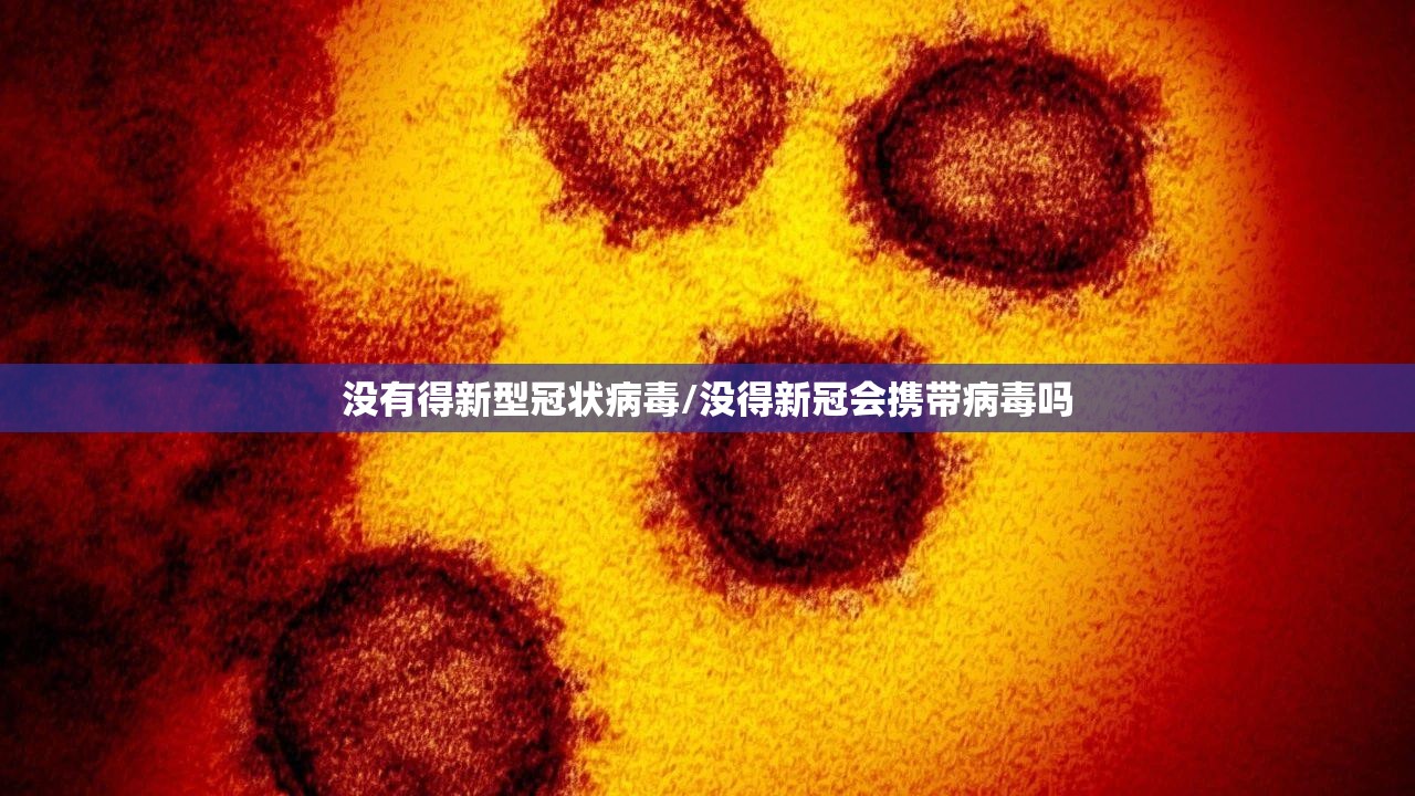 没有得新型冠状病毒/没得新冠会携带病毒吗
