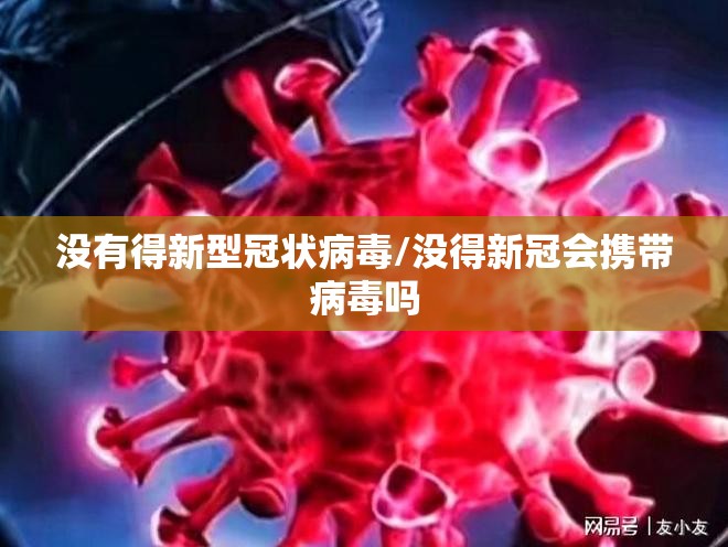 没有得新型冠状病毒/没得新冠会携带病毒吗
