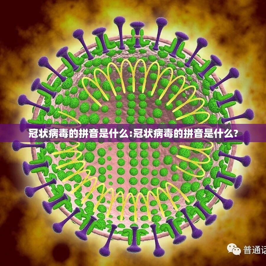 冠状病毒的拼音是什么:冠状病毒的拼音是什么?