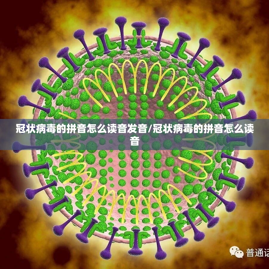 冠状病毒的拼音怎么读音发音/冠状病毒的拼音怎么读音