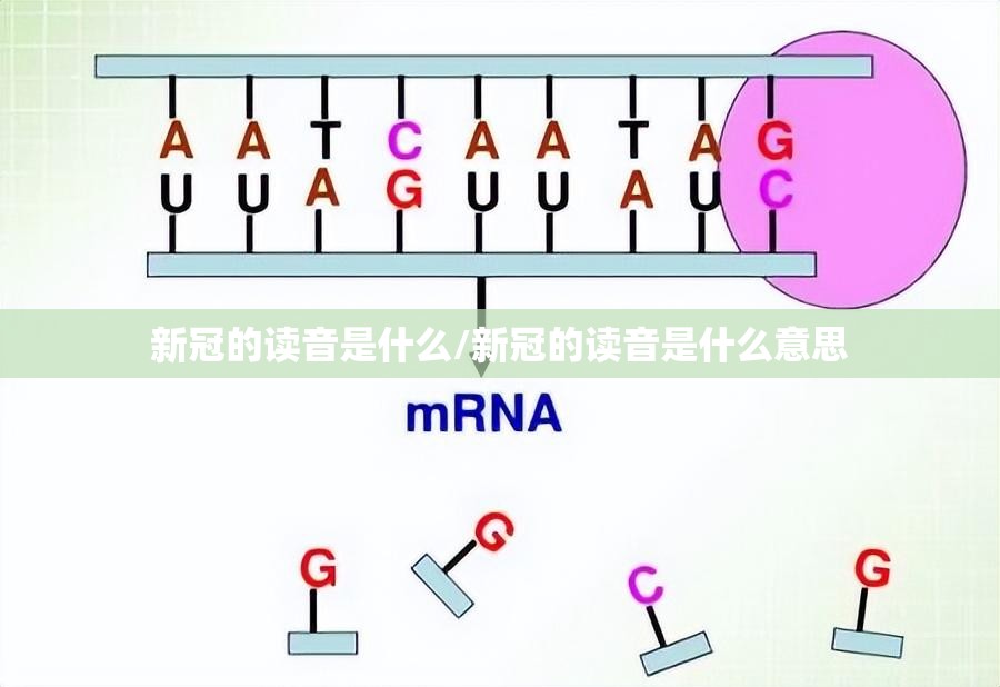 新冠的读音是什么/新冠的读音是什么意思
