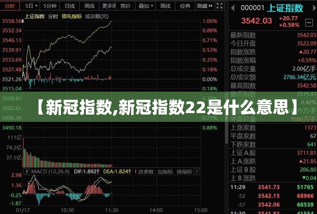 【新冠指数,新冠指数22是什么意思】