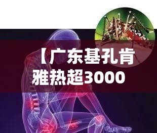 【广东基孔肯雅热超3000人感染,基孔肯尼亚病毒怎么治疗】
