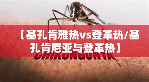 【基孔肯雅热vs登革热/基孔肯尼亚与登革热】