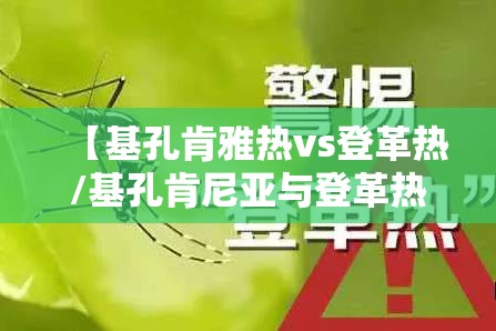 【基孔肯雅热vs登革热/基孔肯尼亚与登革热】