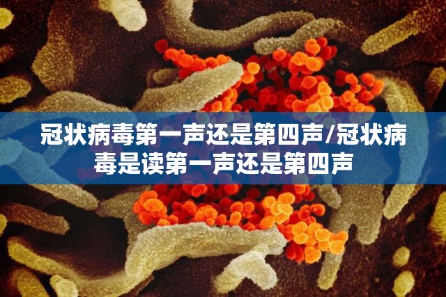 冠状病毒第一声还是第四声/冠状病毒是读第一声还是第四声
