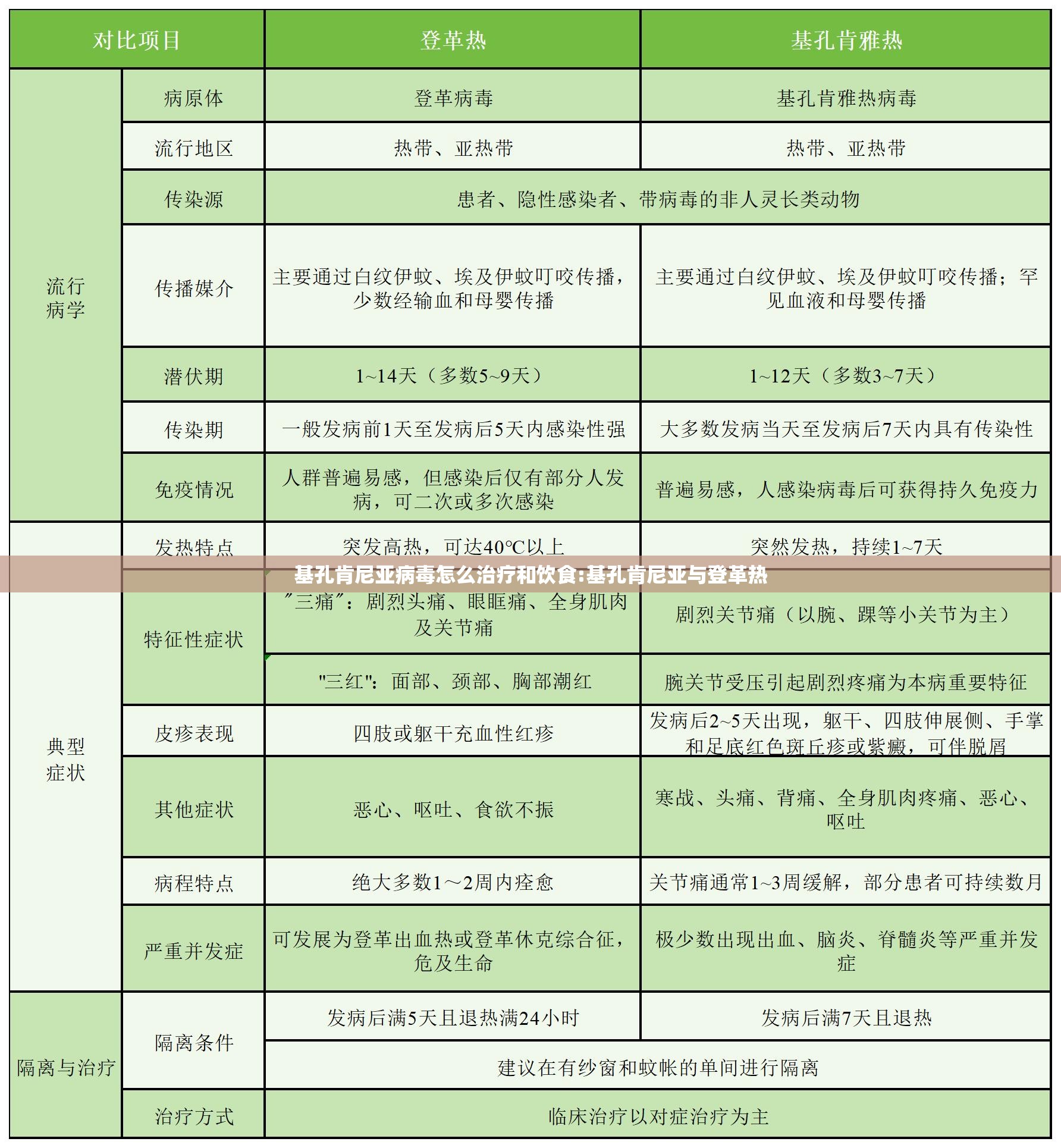 基孔肯尼亚病毒怎么治疗和饮食:基孔肯尼亚与登革热