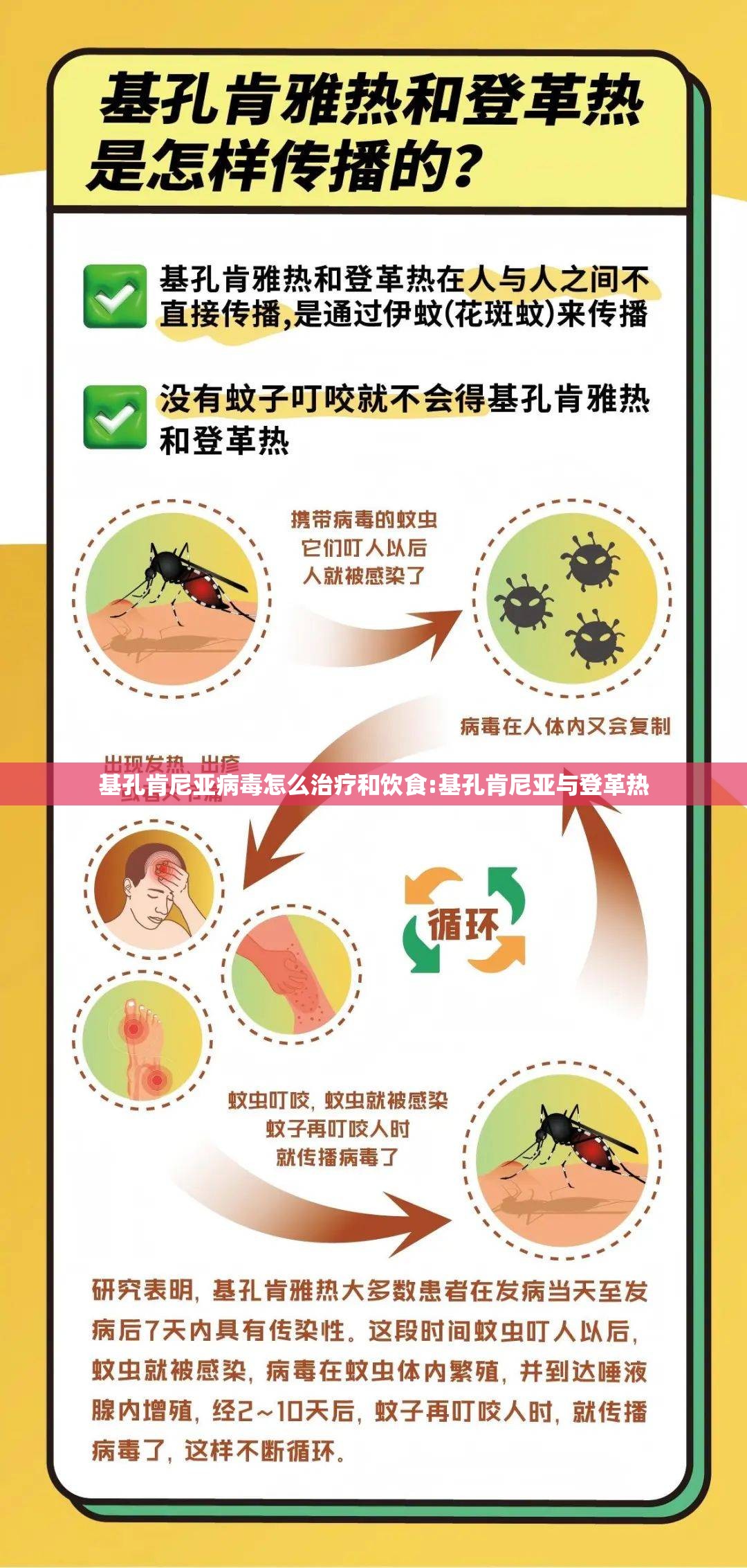 基孔肯尼亚病毒怎么治疗和饮食:基孔肯尼亚与登革热