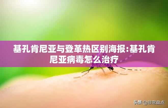 基孔肯尼亚与登革热区别海报:基孔肯尼亚病毒怎么治疗