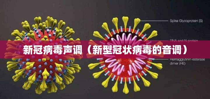 新冠病毒声调（新型冠状病毒的音调）