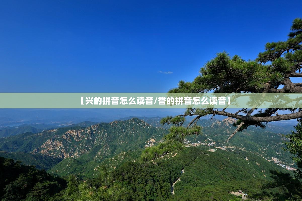 【兴的拼音怎么读音/誉的拼音怎么读音】