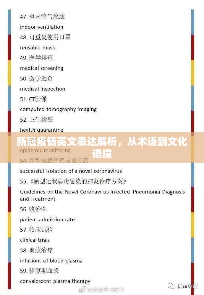新冠疫情英文表达解析，从术语到文化语境
