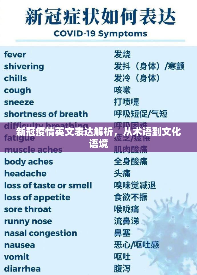 新冠疫情英文表达解析，从术语到文化语境