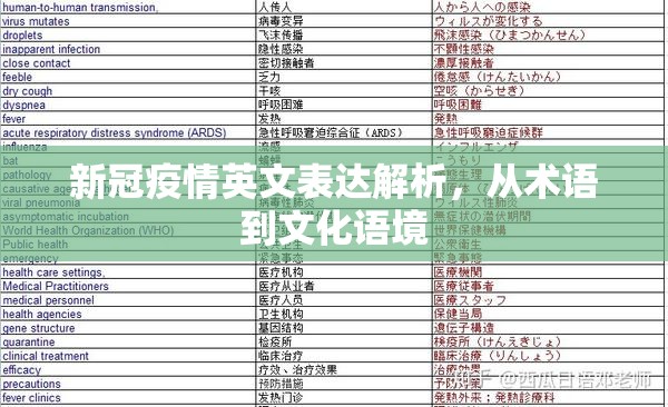 新冠疫情英文表达解析，从术语到文化语境
