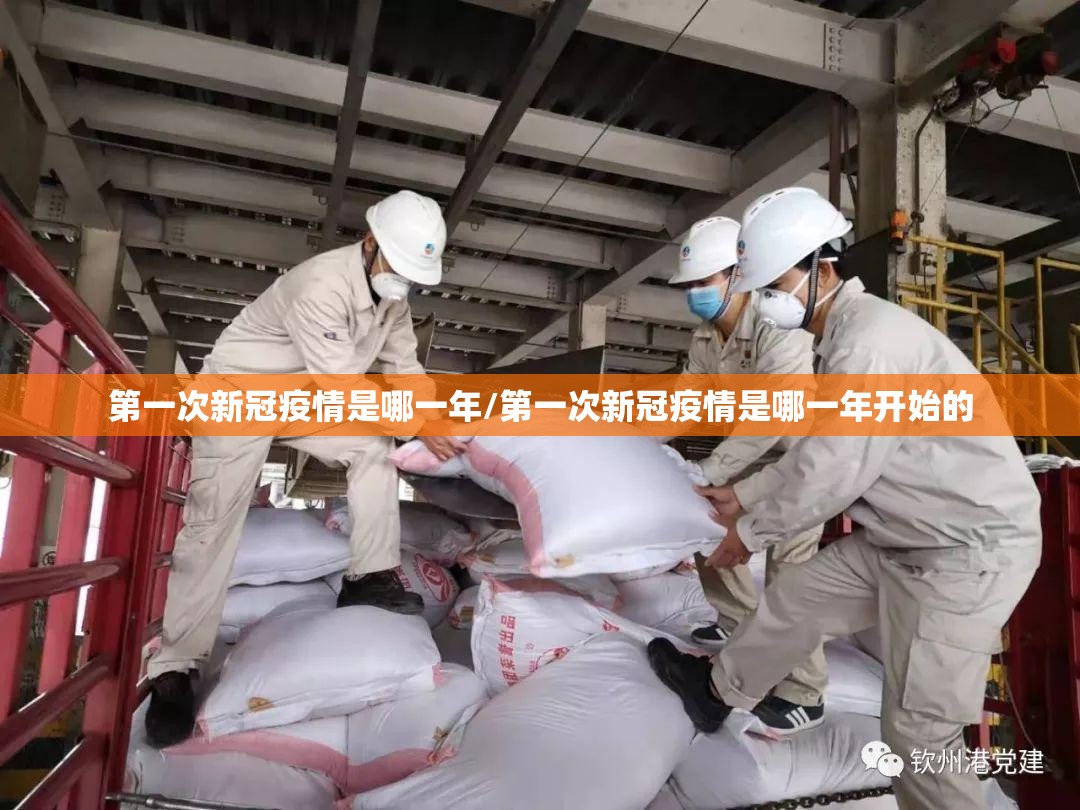 第一次新冠疫情是哪一年/第一次新冠疫情是哪一年开始的
