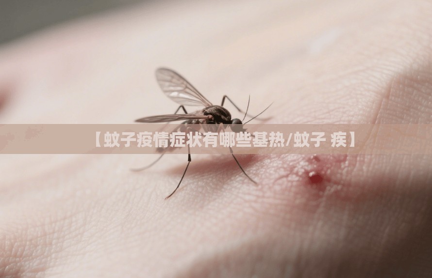 【蚊子疫情症状有哪些基热/蚊子 疾】