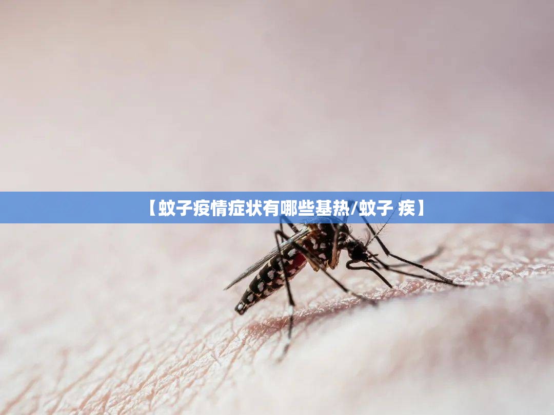 【蚊子疫情症状有哪些基热/蚊子 疾】
