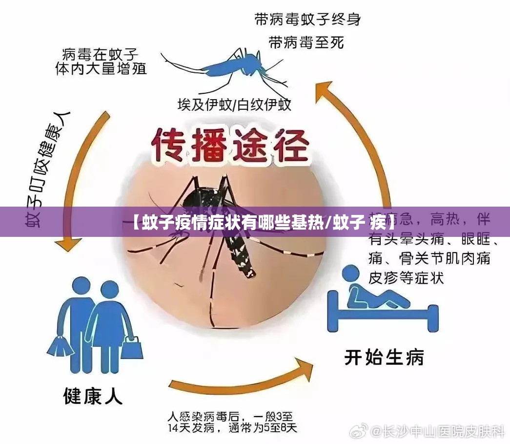 【蚊子疫情症状有哪些基热/蚊子 疾】