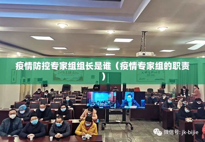 疫情防控专家组组长是谁（疫情专家组的职责）