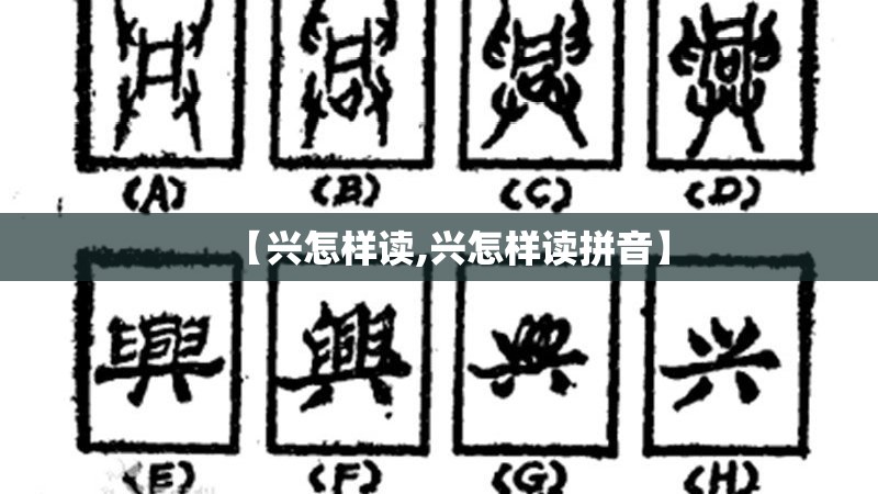 【兴怎样读,兴怎样读拼音】