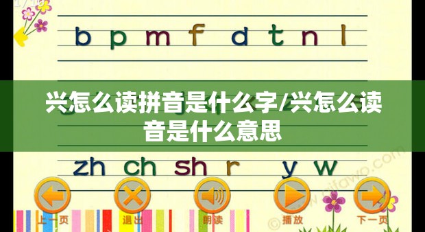兴怎么读拼音是什么字/兴怎么读音是什么意思 兴怎么读拼音是什么字/兴怎么读音是什么意思