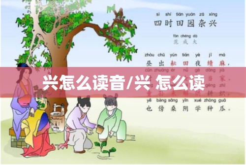 兴怎么读音/兴 怎么读