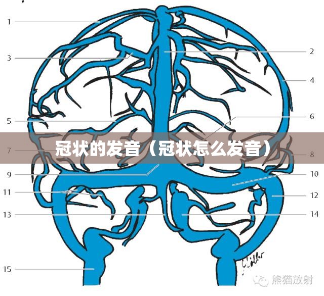 冠状的发音（冠状怎么发音）